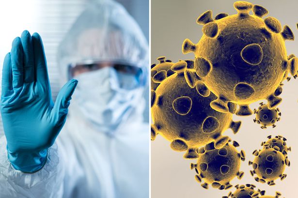 Коронавирус 20 марта 2020 года. Откуда появился коронавирус и как с ним бороться.